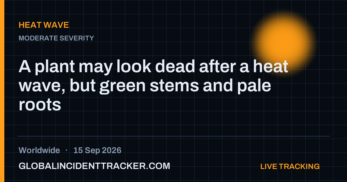Heat Wave incident in worldwide on 15 September 2026 — Global Incident Tracker report card